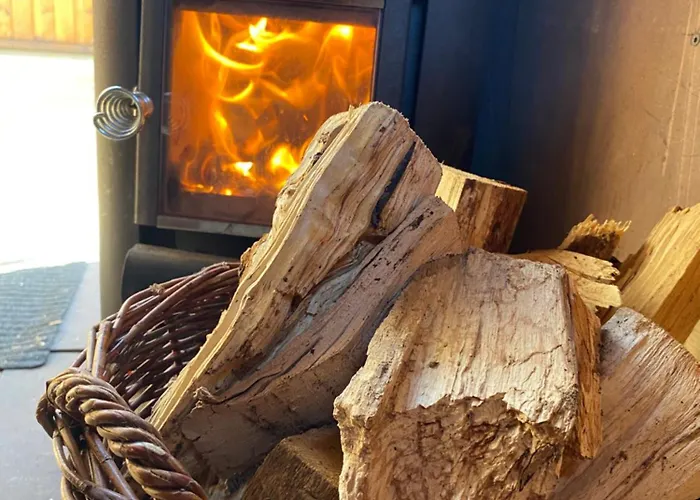 Daire Far Away From Africa Steinach (Thuringia)