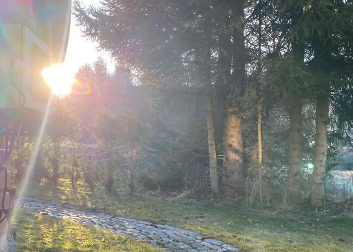 Far Away From Africa Steinach (Thuringia)